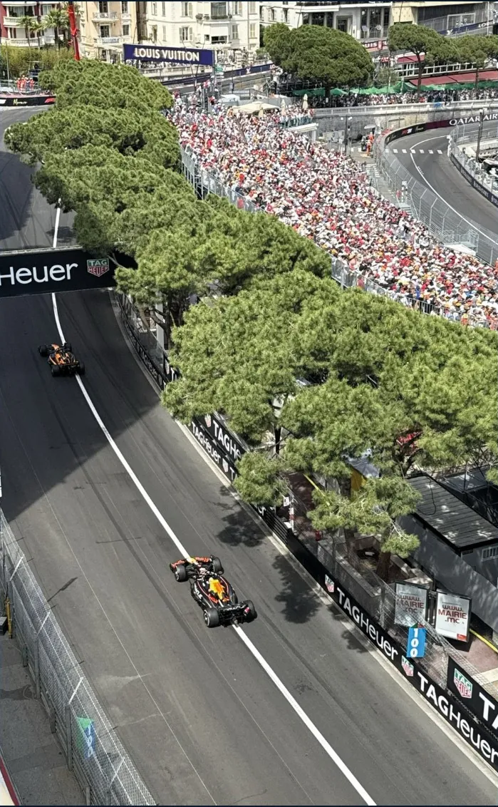 Recta del circuito entre pinos, vista desde arriba