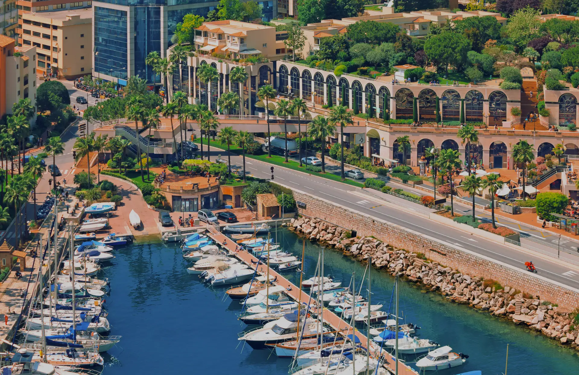 Foto de yates en el puerto Hércules.